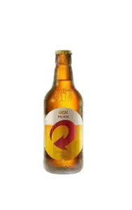 Cerveja Skol One Way 300 ml